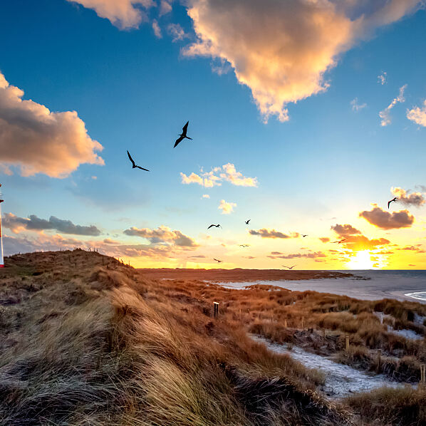 DERTOUR_Lister-Ellenbogen-Leuchtturm Sylt Nordsee