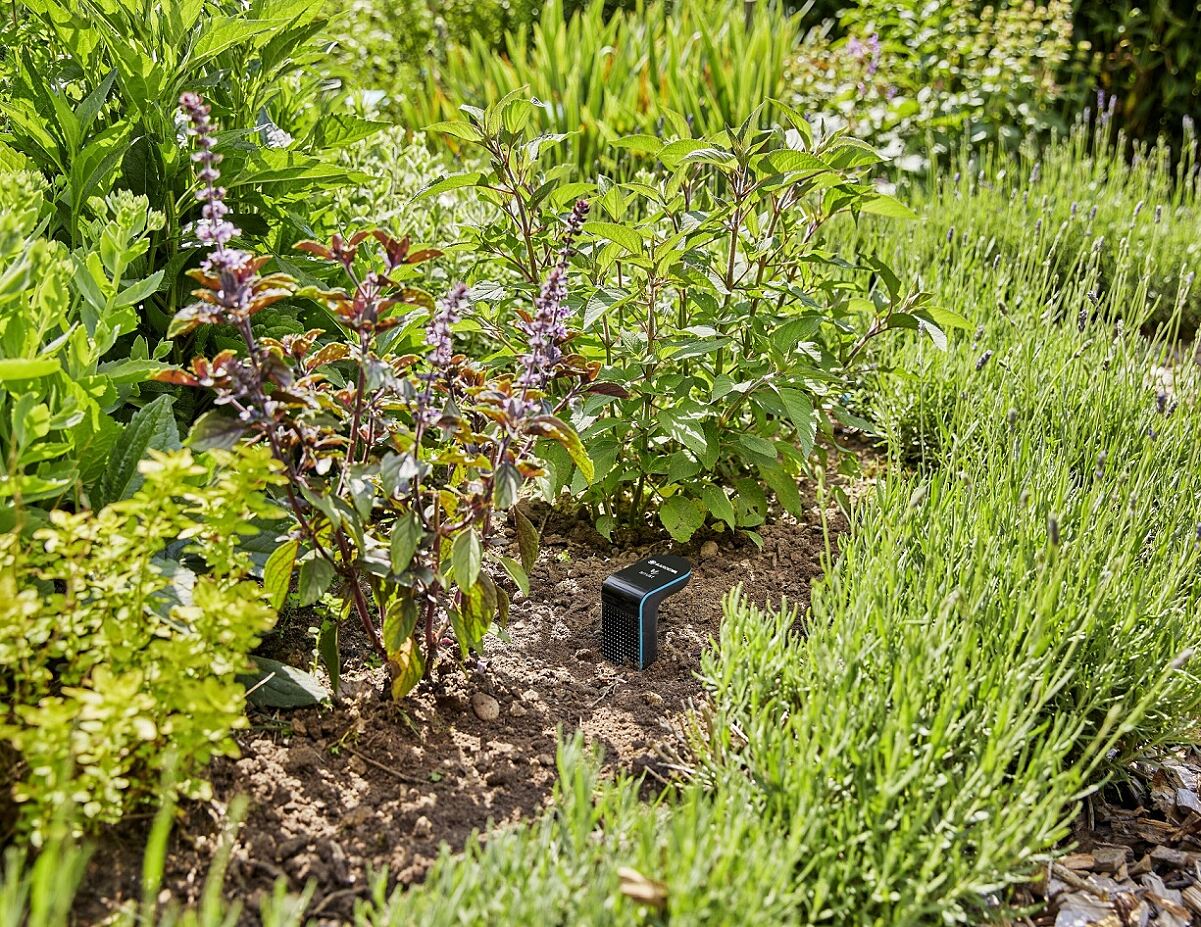 Gardena PA Hundstage Sprinklersystem und smart Sensor