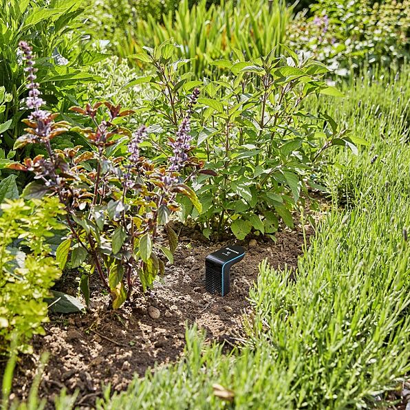 Gardena PA Hundstage Sprinklersystem und smart Sensor