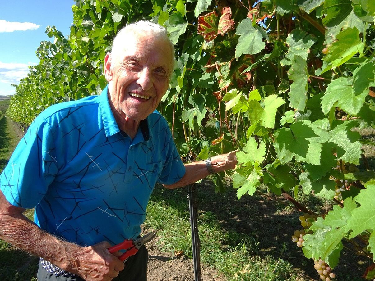 secu_PA_Thorwesten_Weinlese_Presse1